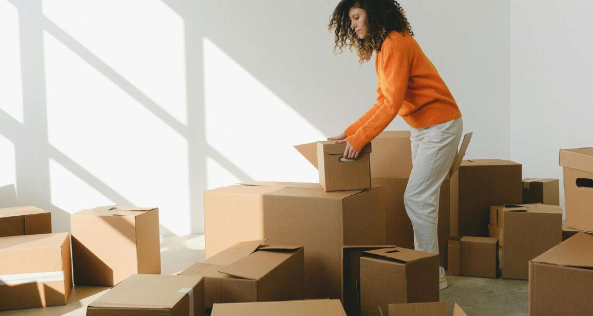 Safely Move with Pets