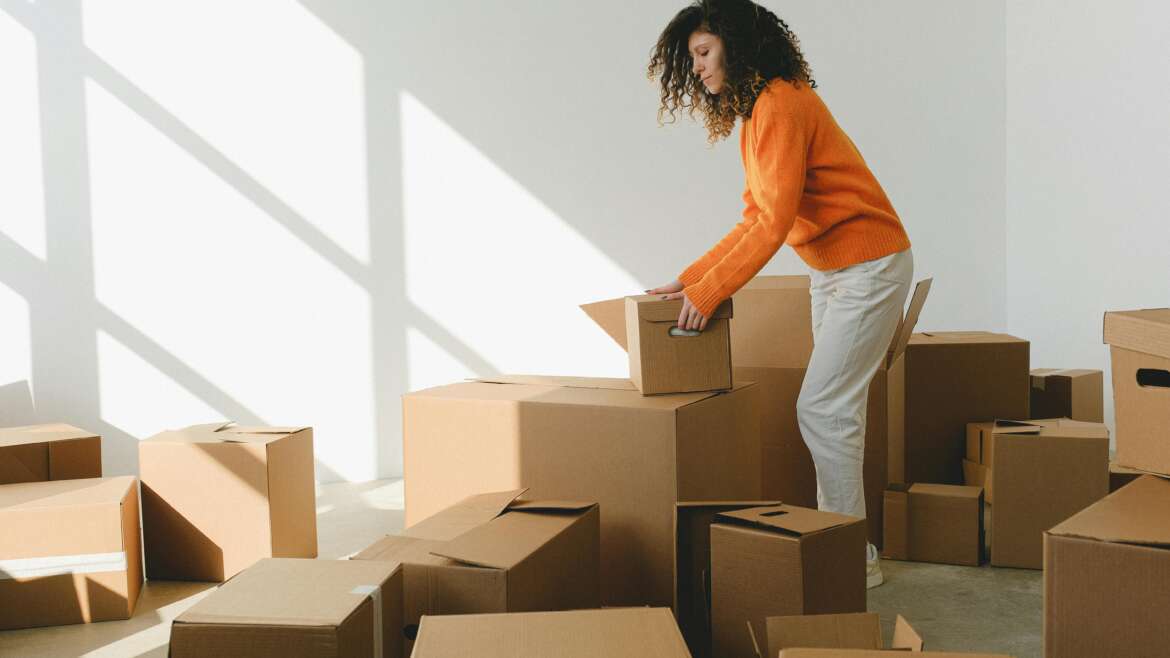 Safely Move with Pets